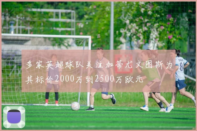 多家英超球队关注加蒂尤文图斯为其标价2000万到2500万欧元