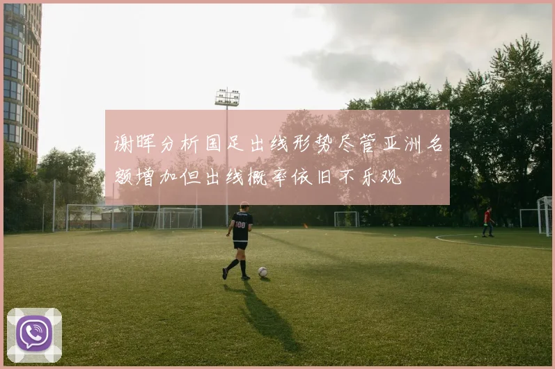 谢晖分析国足出线形势尽管亚洲名额增加但出线概率依旧不乐观